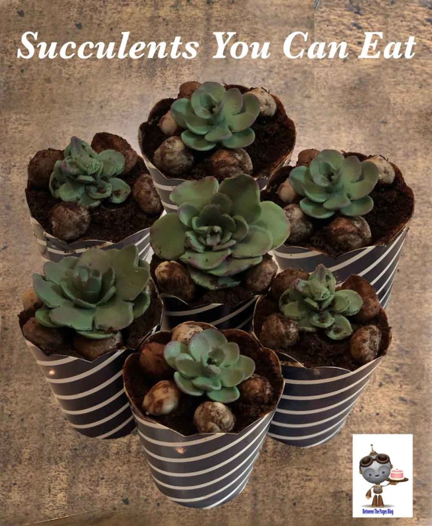 How to Make Succulent Cupcake Topper