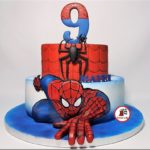 Spectacular Spider-Man 9th Birthday Cake