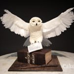 Absolutely Beautiful Hedwig Cake