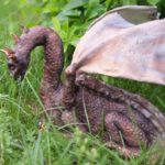 Superb Peruvian Vipertooth Dragon Cake