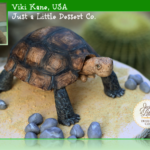 Agassiz Desert Tortoise On Earth Day Cake
