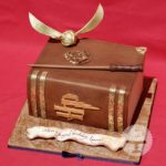 Awesome Harry Potter Birthday Cake