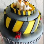 Awesome MythBusters Cake