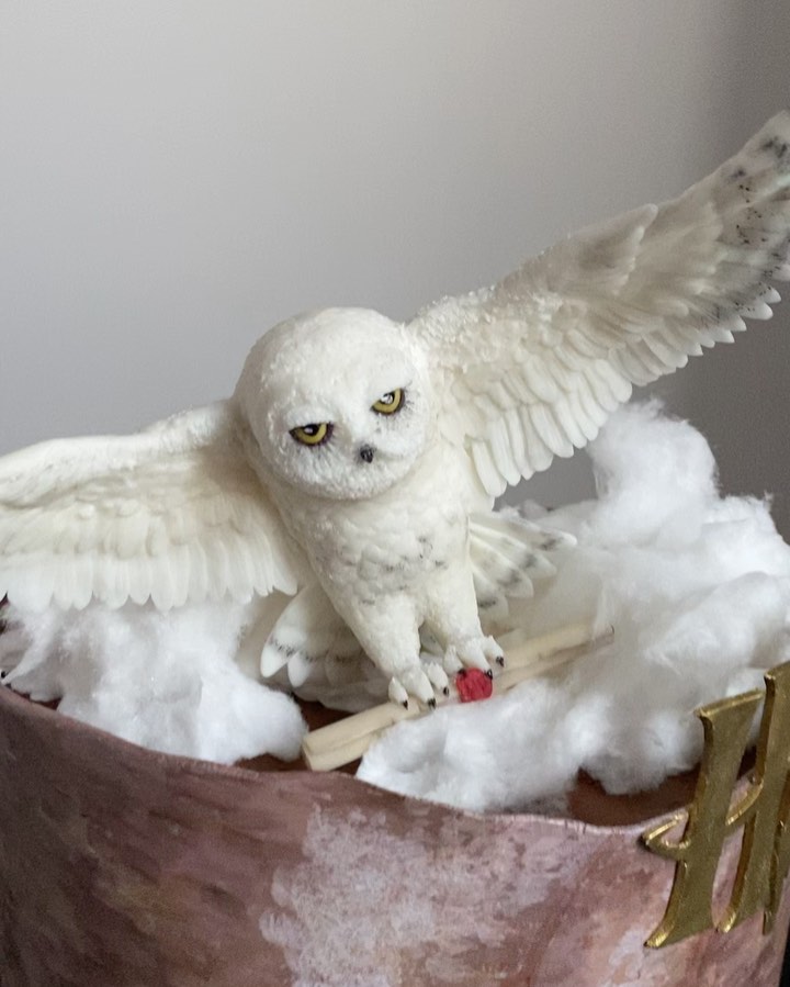 Hedwig Cake