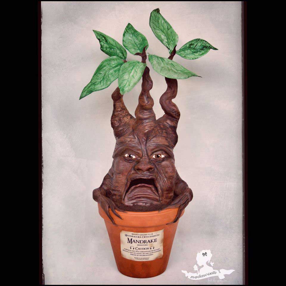 Mandrake Cake