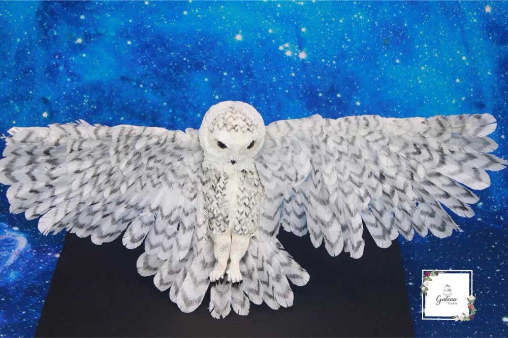 Flying Hedwig Cake