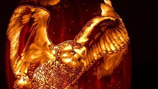 Pumpkin carving of Hedwig flying through the air while carrying Harry's letter from Hogwarts