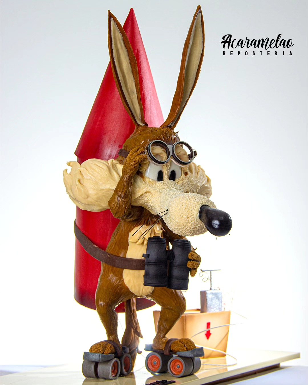 Wile E. Coyote Cake